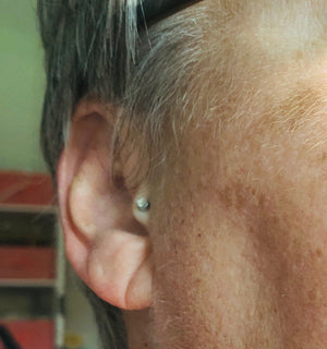 Magnetic Earrings for Unpierced Ears - 12 colors